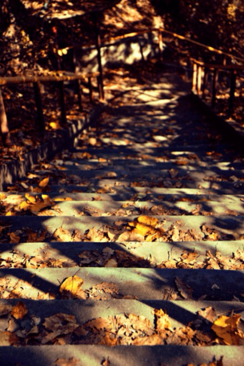 记忆斑驳.旧时光