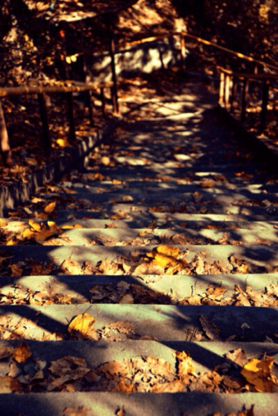 记忆斑驳.旧时光