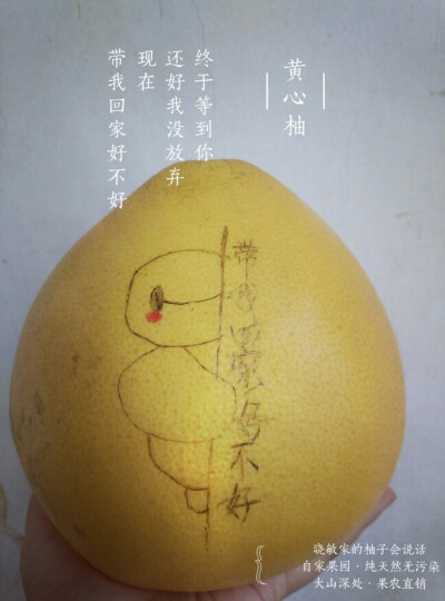 黄心柚子