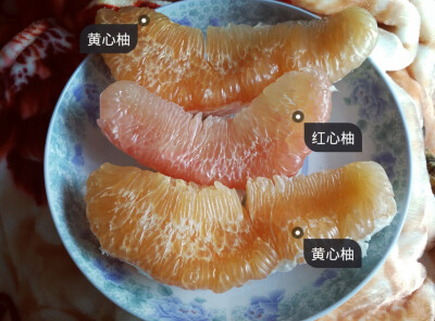 柚子