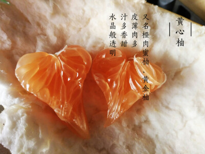 柚子