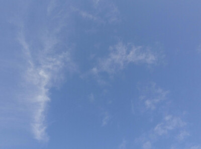 15年11月23日。晴。10°