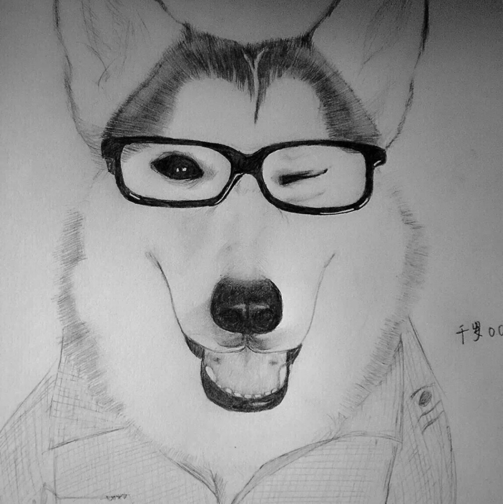 手绘阿拉斯加犬