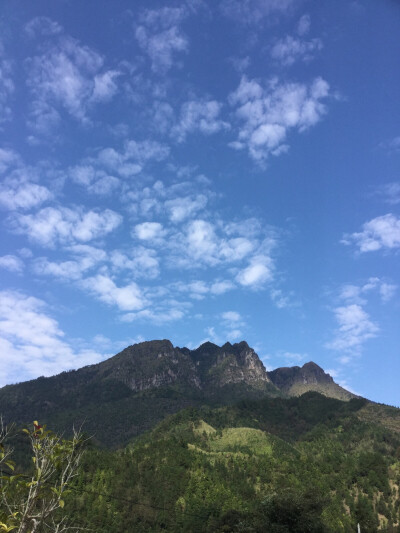 大山深处