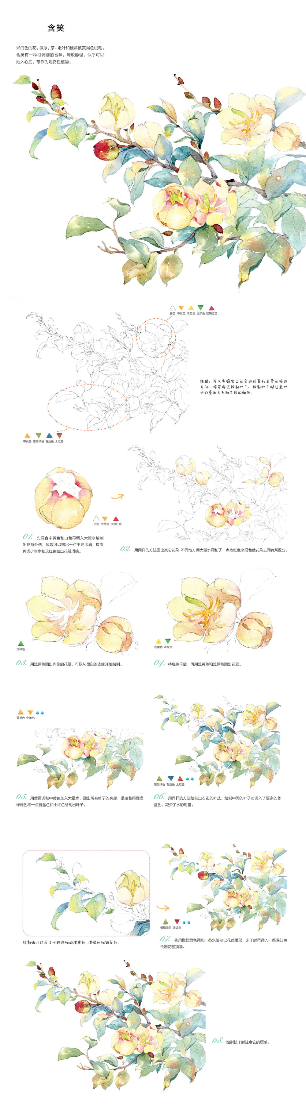 含笑花的水彩画步奏图——本案例摘自人民邮电出版社出版、爱林文化主编的《浪漫水彩课——柔美花姿态手绘技法》http://product.dangdang.com/23751116.html