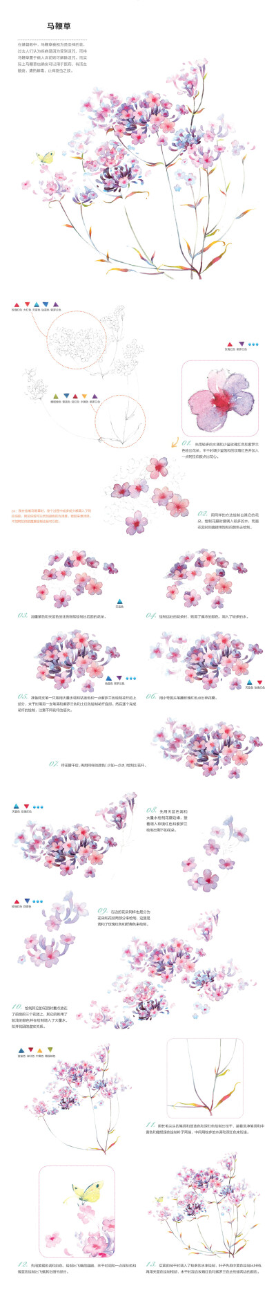 马鞭草的水彩画步奏——本案例摘自人民邮电出版社出版、爱林文化主编的《浪漫水彩课——柔美花姿态手绘技法》http://product.dangdang.com/23751116.html