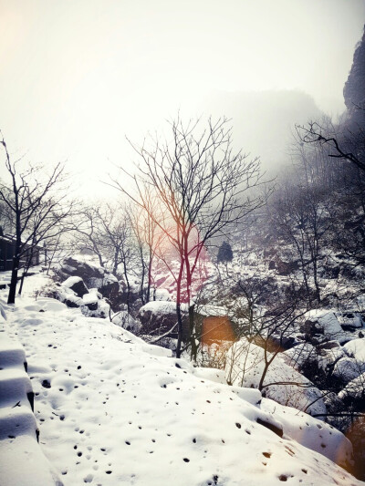 雪景