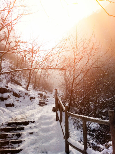 阳光 雪景