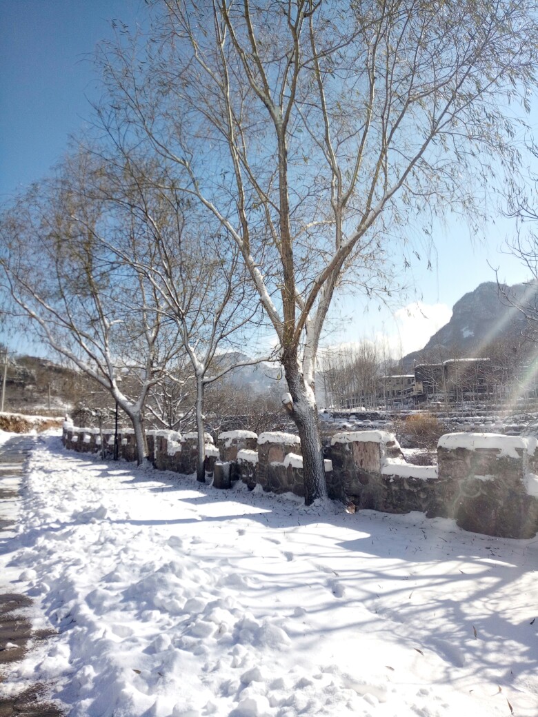 阳光 雪景