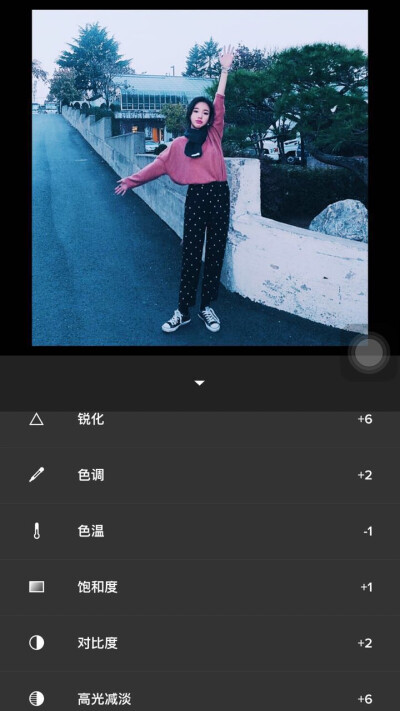 软件：vsco 预设 A2+12