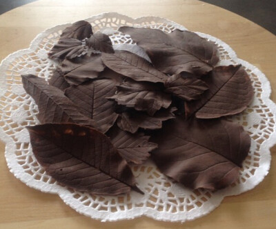 【巧克力树叶】材料：新鲜叶子、巧克力 做法：1.收集新鲜的叶子用清水洗净，用厨房用纸吸去表面的水分。2.巧克力装入裱画袋隔水融化后挤在叶子的正面。3.然后用勺子背面将巧克力抹匀。4.抹好的叶片放在冰箱中冷藏10…