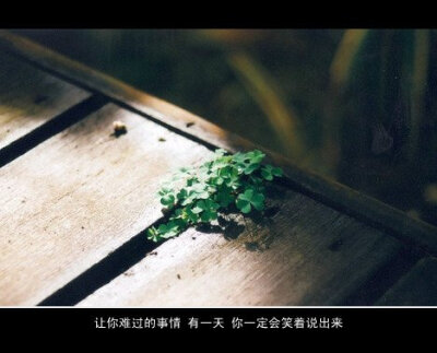 伤感文字。喜欢记得关注我。 壁纸 美图