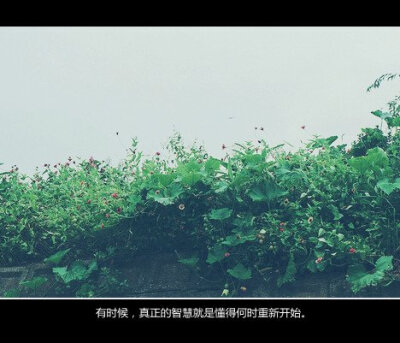 喜欢记得关注我。 手机壁纸 美图