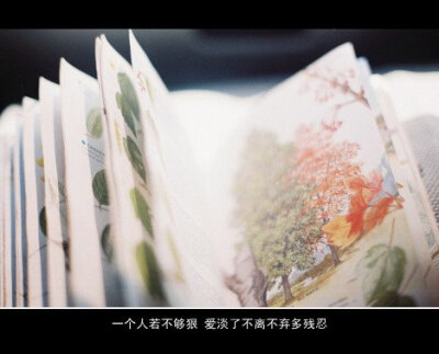 文字。伤感语录。伤感文字