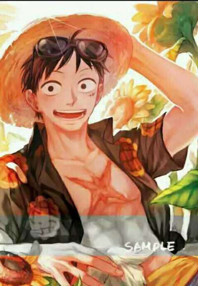 Luffy 路飞