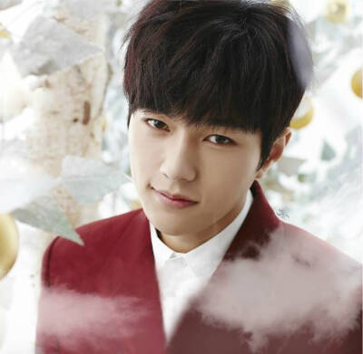 infinite 金明洙L