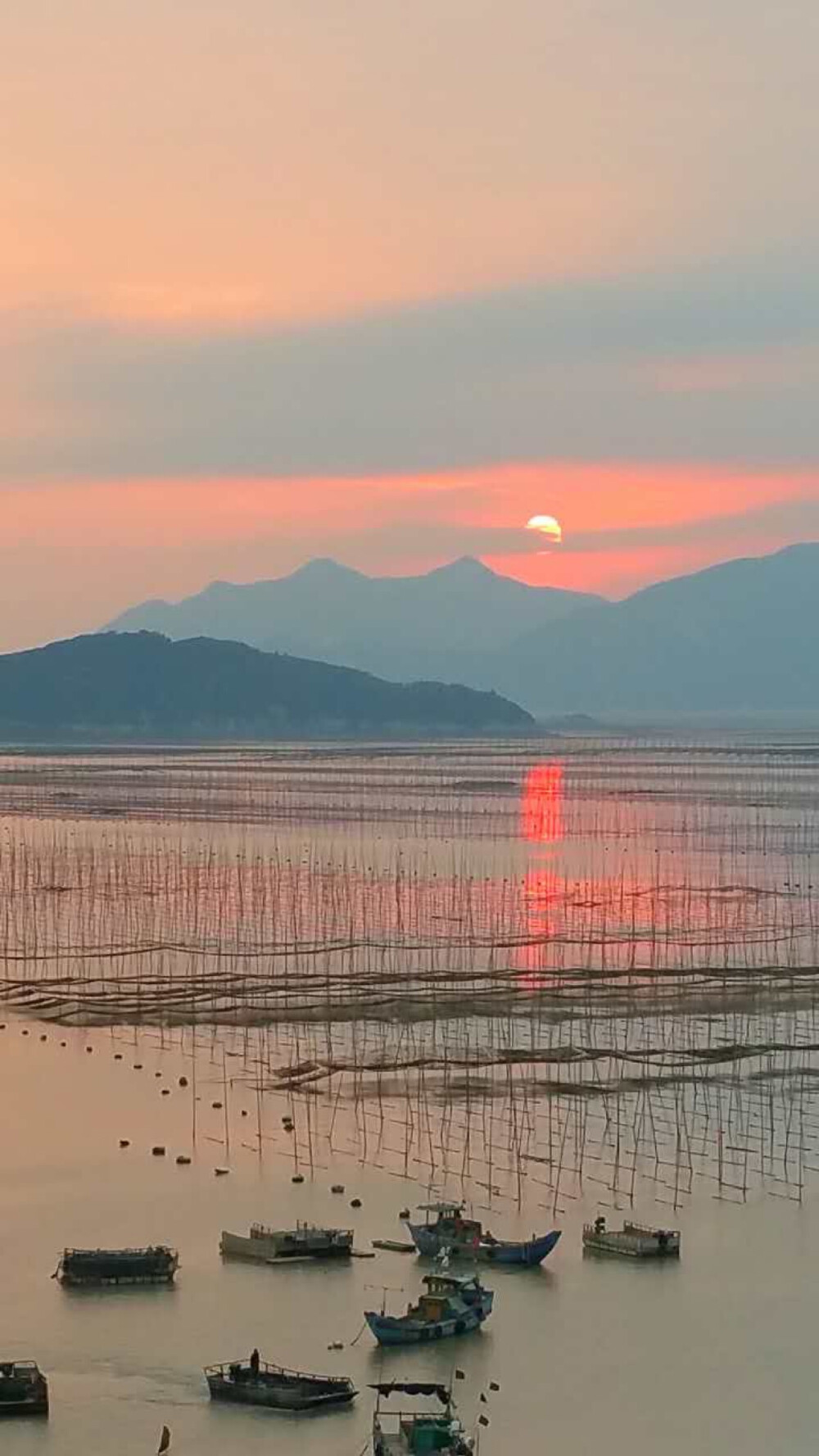 霞浦滩涂