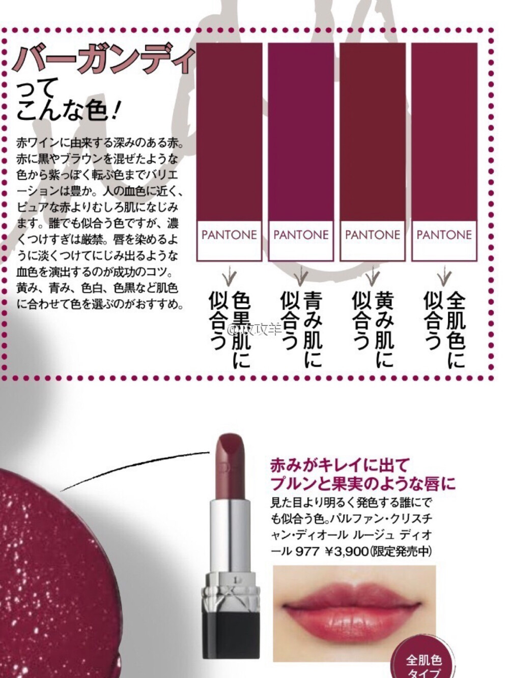 日系 雜誌 姨媽色 美妝