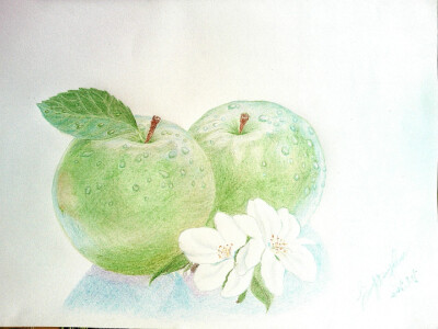 青苹果（彩色铅笔画）
