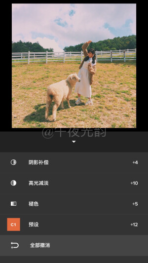 app:vsco  宝丽来调色