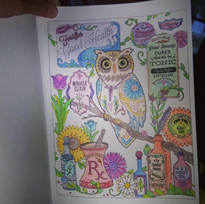 Creative haven ----Owl