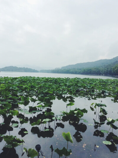 杭州西湖