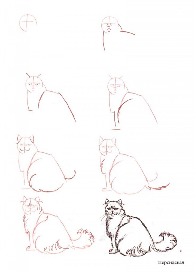 国外手绘圈很流行的画猫咪的手绘教程