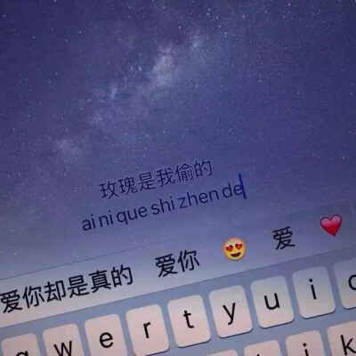 玫瑰是我偷的 我爱你却是真的 文字 星空 键盘