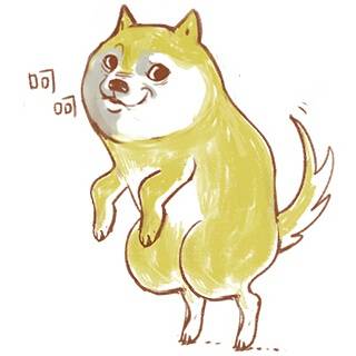 doge