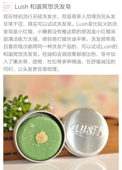 Lush 洗发皂