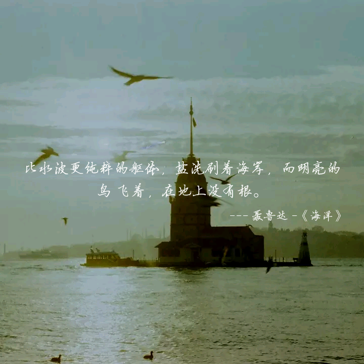 生活本身就是很现实的，每靠近完美一分便要付出一分的代价。浪漫的背后往往是最不浪漫的消磨，所以生活里仅存的那点儿浪漫才显得尤其可贵。努力存住那种情愿赴汤蹈火的勇敢吧，像护住那风中之烛，不能任其灭了。你知道的，那是我们获得幸福的唯一希望。