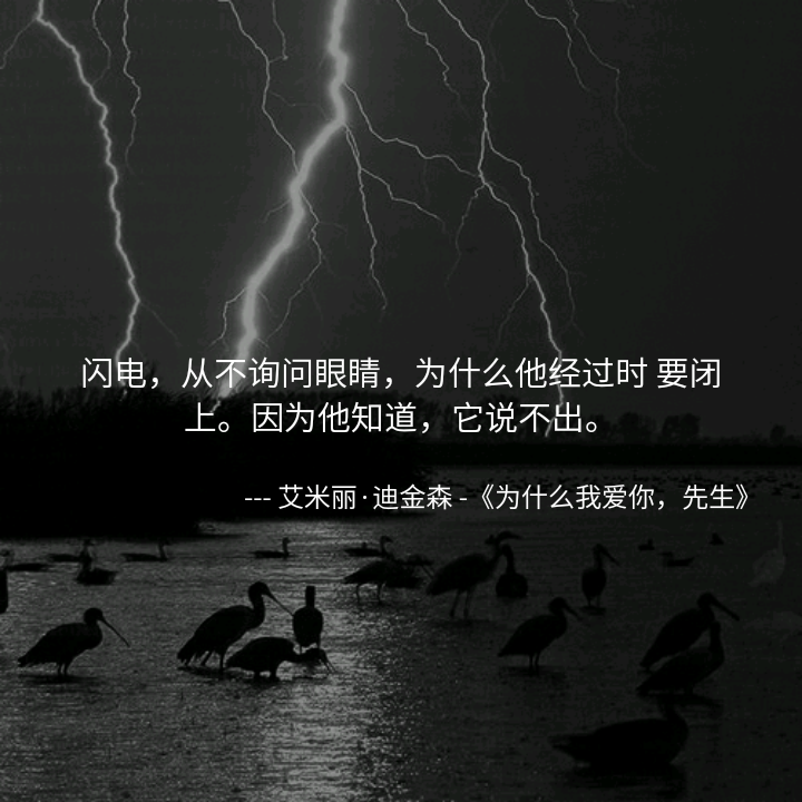 生活本身就是很现实的，每靠近完美一分便要付出一分的代价。浪漫的背后往往是最不浪漫的消磨，所以生活里仅存的那点儿浪漫才显得尤其可贵。努力存住那种情愿赴汤蹈火的勇敢吧，像护住那风中之烛，不能任其灭了。你知道的，那是我们获得幸福的唯一希望。