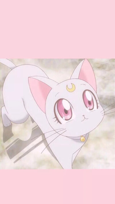 美少女战士手机壁纸