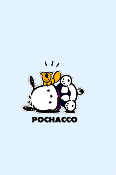 帕恰狗 pachacco