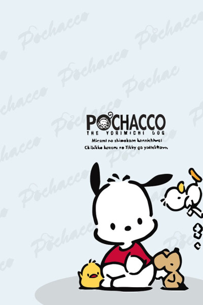 帕恰狗 pachacco