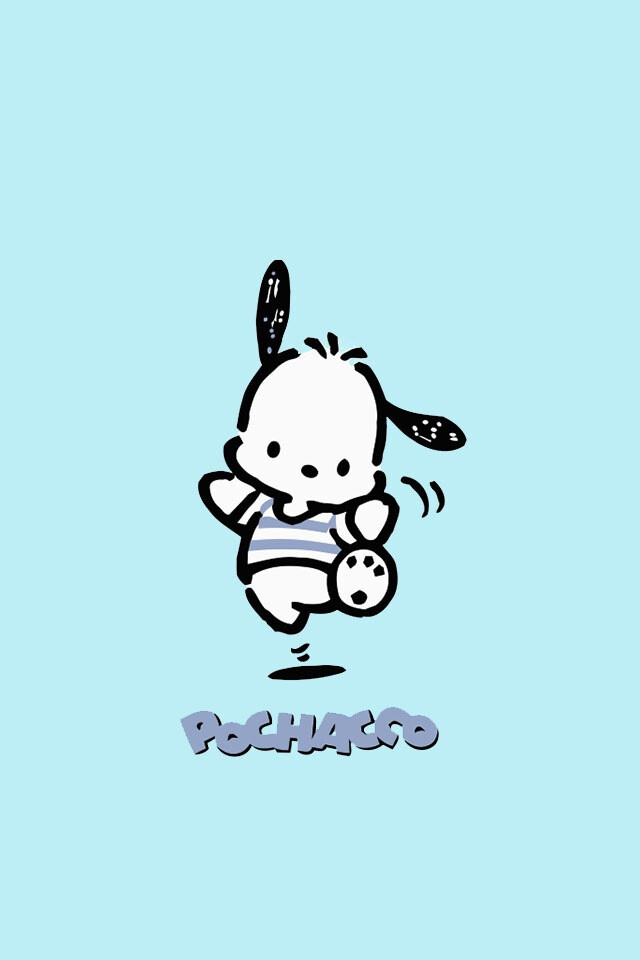 帕恰狗 pachacco