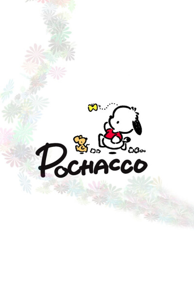 帕恰狗 pachacco