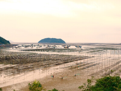 霞浦滩涂