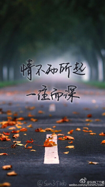 sun了个晒 壁纸