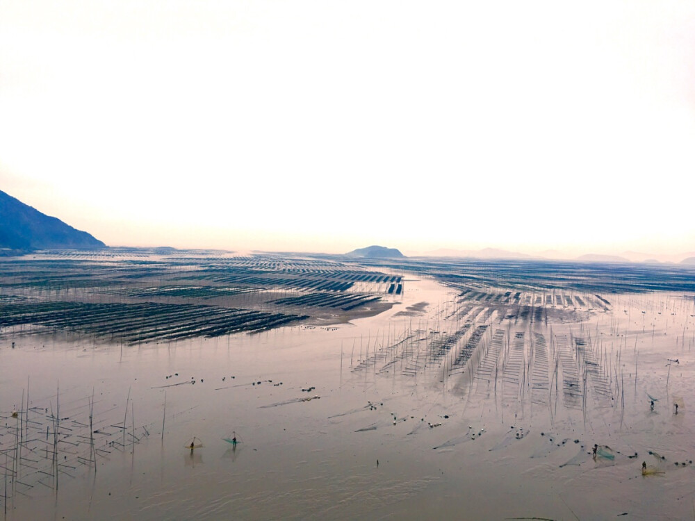 霞浦滩涂