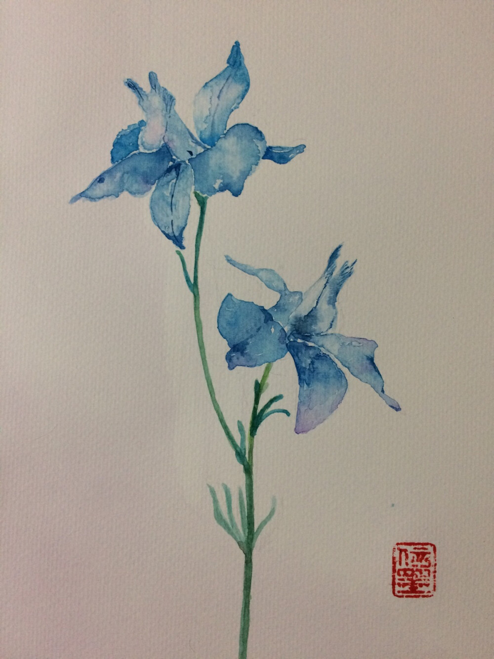 画了一只小鸢尾，有喜欢的可以去微博搜索有教程微博-信墨-