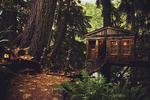 西雅图树屋 美国 就像是童话里的家，还有一段绳桥呢~