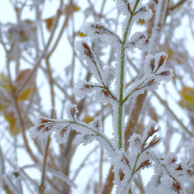 我不曾怀疑一切，无论一片雪花，还是你。