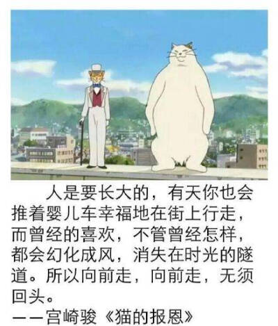 猫的报恩