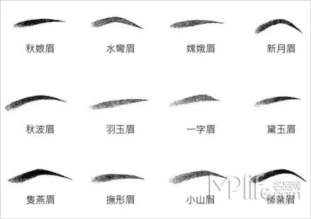 眉型