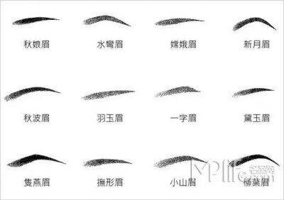 眉型