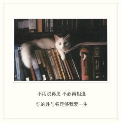 不必说再见，不必再相逢