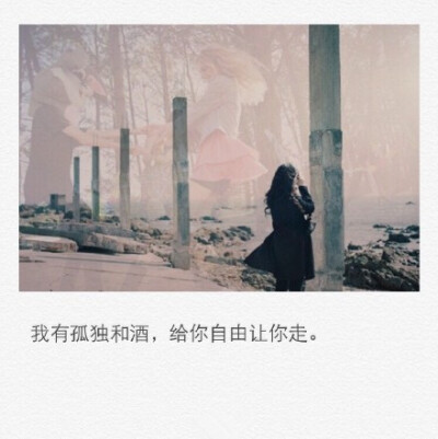 我有孤独和酒，给你自由让你走