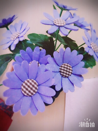那些花儿