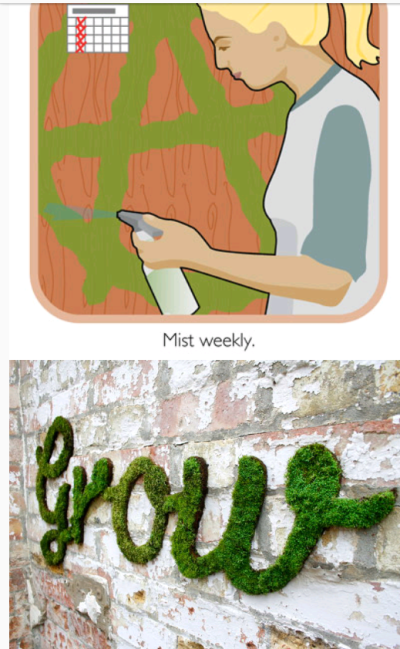 如何做一个苔藓涂鸦步骤详解2
